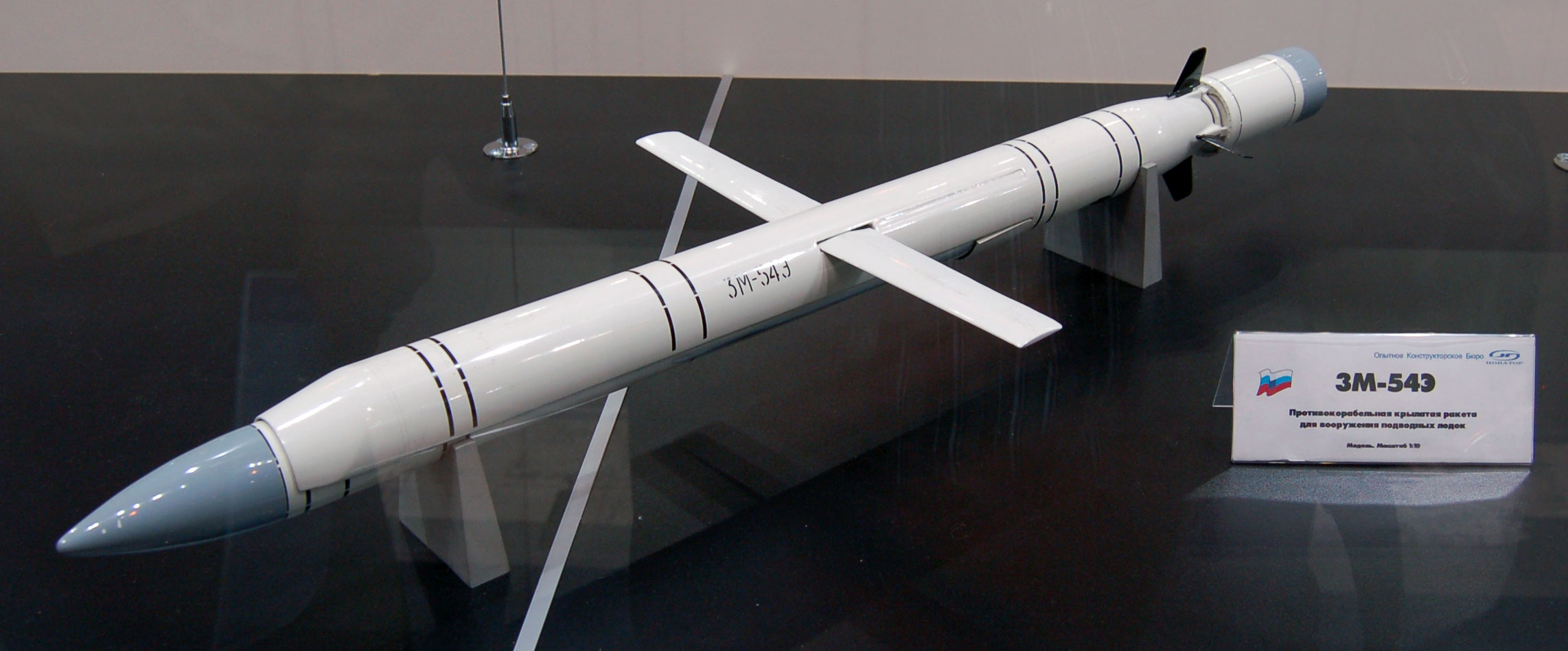The 3M-54E anti-ship and land-attack cruise missile.