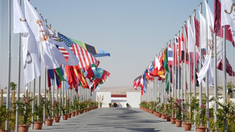Row of international flags on flagpoles lining a paved walkway toward a white building in a desert setting under a clear blue sky.